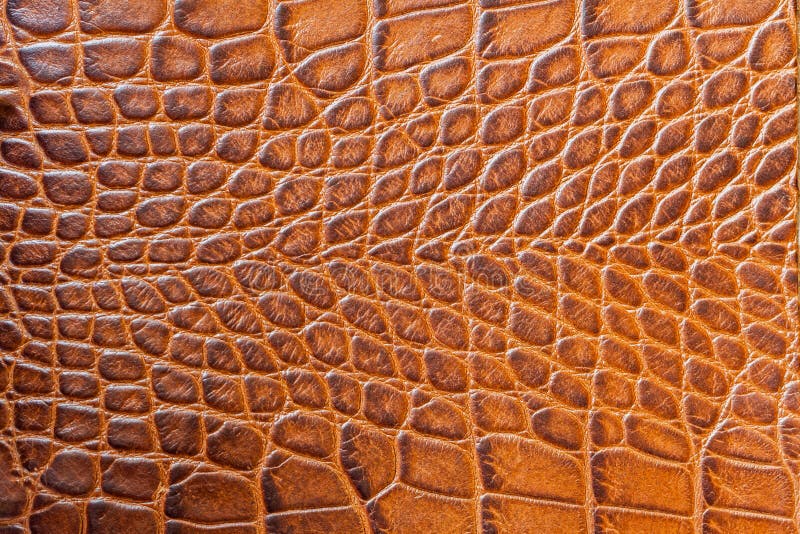 Brown mesure le macro fond exotique, de relief sous la peau d'un reptile, crocodile Plan rapproché de cuir véritable de texture