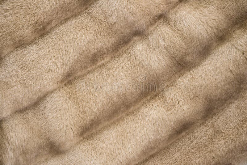 Dog coat texture stock photo. Image of nature, animal 31079404