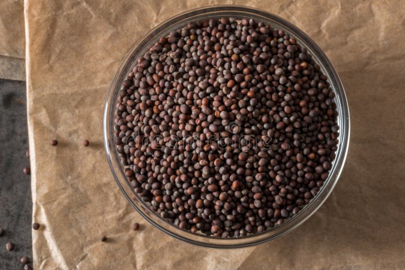 Brown Mustard Seeds in a Bowl Stock Photo Image of seasoning, cuisine
