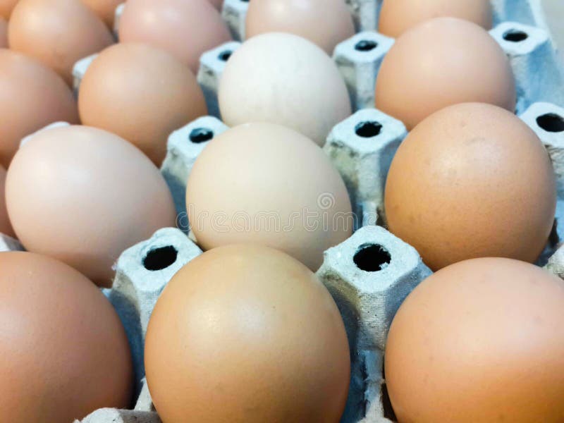 Brown Organic Cagefree Eggs Stock Image Image of life, cooking 94236527