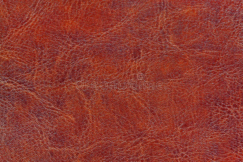 Brown Paint Leather Background Stock Image Image of nature, concept 37465429