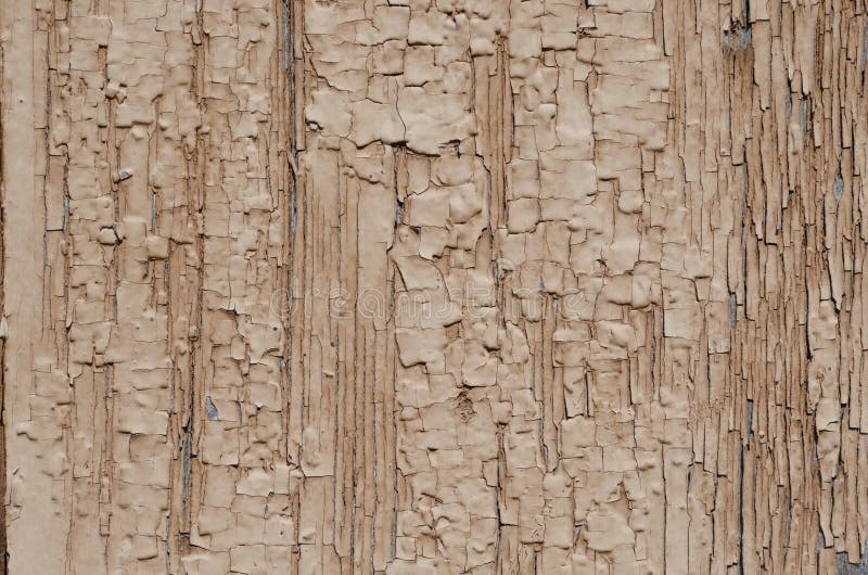 Brown paint, texture stock photo. Image of grunge, surface 96252640