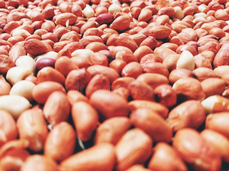 Brown Peanuts stock photos