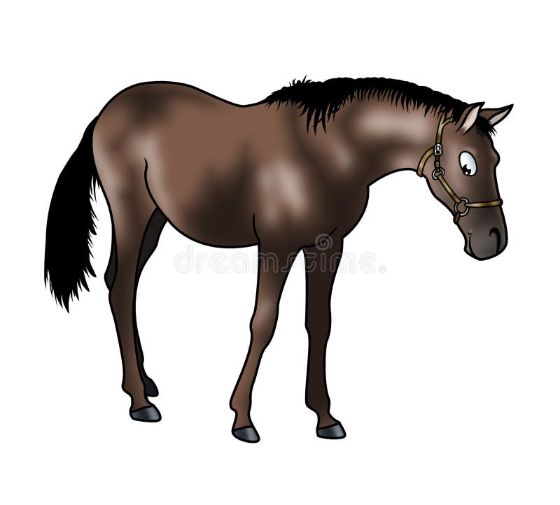 Brown-Pferd lizenzfreie abbildung
