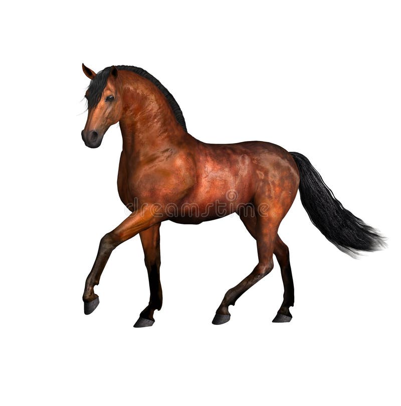 Brown-Pferd vektor abbildung