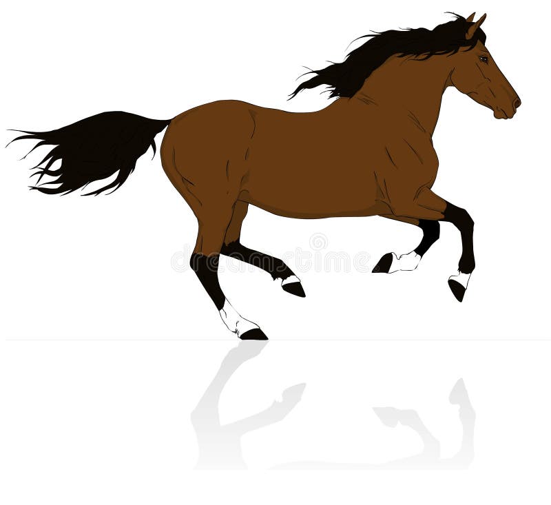 Brown-Pferdenläufergalopp lizenzfreie abbildung
