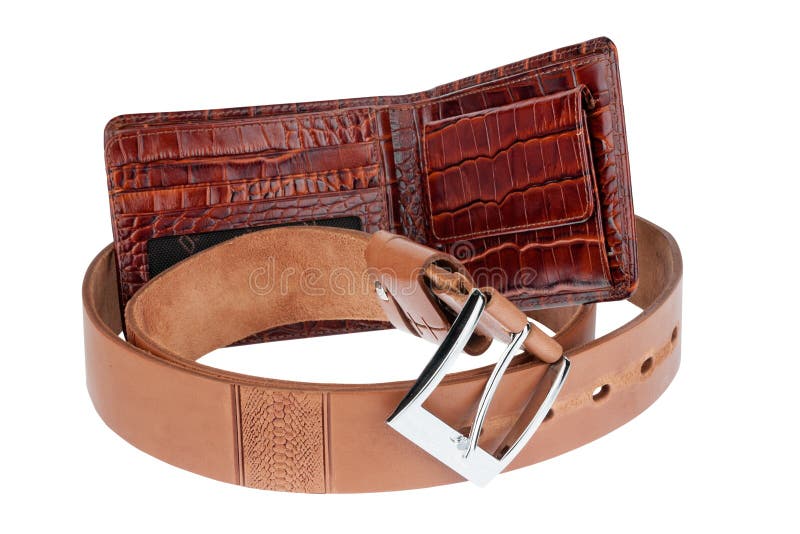 Brown Purse with Different Coins Stock Image Image of shopping, coin