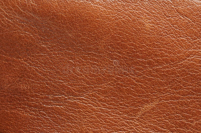 Real cow skin texture stock photo. Image of natural, leather - 23783280