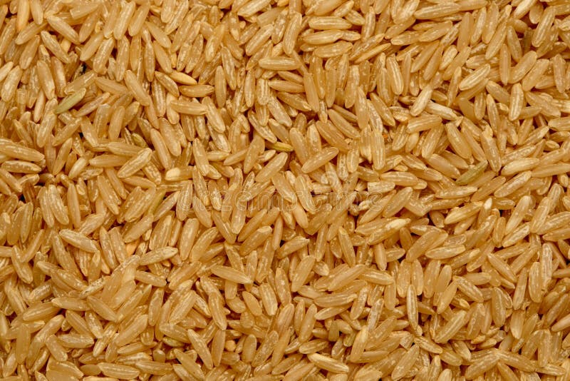 Uncooked Brown rice grains stock image. Image of cuisine 32231151