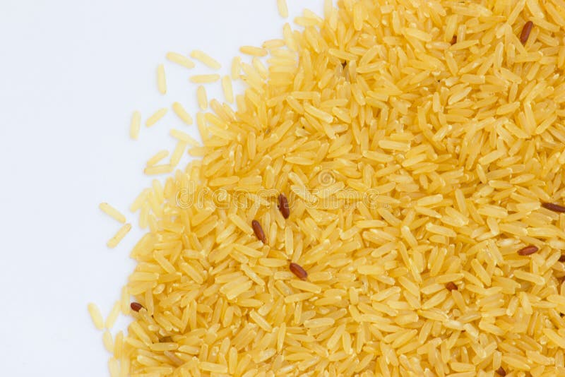 Brown Rice stock photo. Image of eating, beauty, harvest 49457016