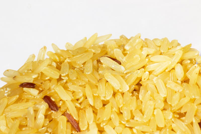 Brown rice stock photo. Image of harvest, cereal, full 49457786
