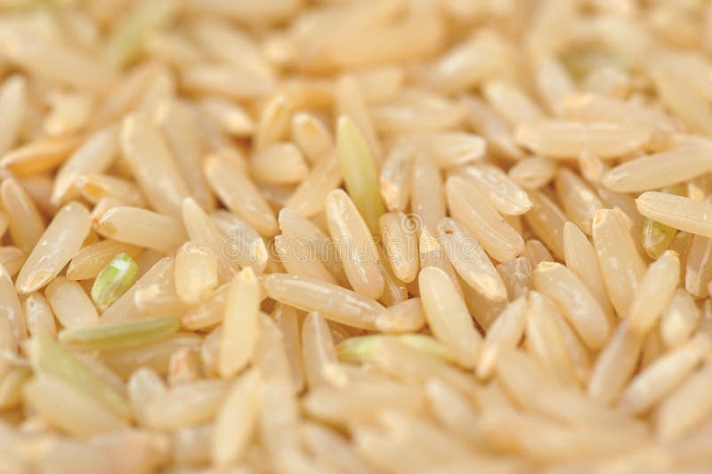 Rice germ stock image. Image of food, copper, thailand 37778365