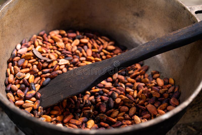 Brown Roasted Cocoa Beans. Background, the Process of Making Cocoa