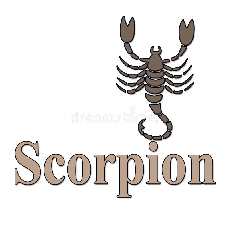 Brown Scorpion and Text White Background Stock Illustration ...