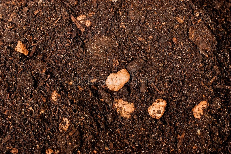 Brown soil texture stock image. Image of mineral, macro 12217469