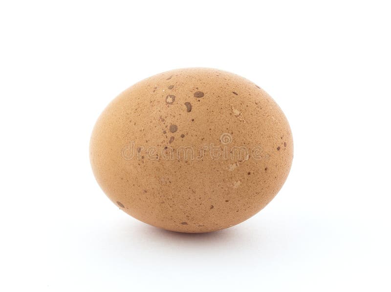 Brown Speckled Chicken Egg. Stock Photo Image of oval, chicken 85658810