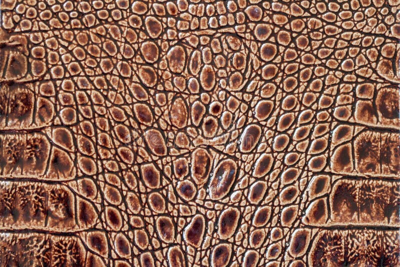 Brown stuft den makro exotischen Hintergrund ein, geprägt unter der Haut eines Reptils, Krokodil Nahaufnahme des echten Leders de stockfotografie Brown stuft den makro exotischen Hintergrund ein, geprägt unter der Haut eines Reptils, Krokodil Nahaufnahme des echten Leders de stockfotografie