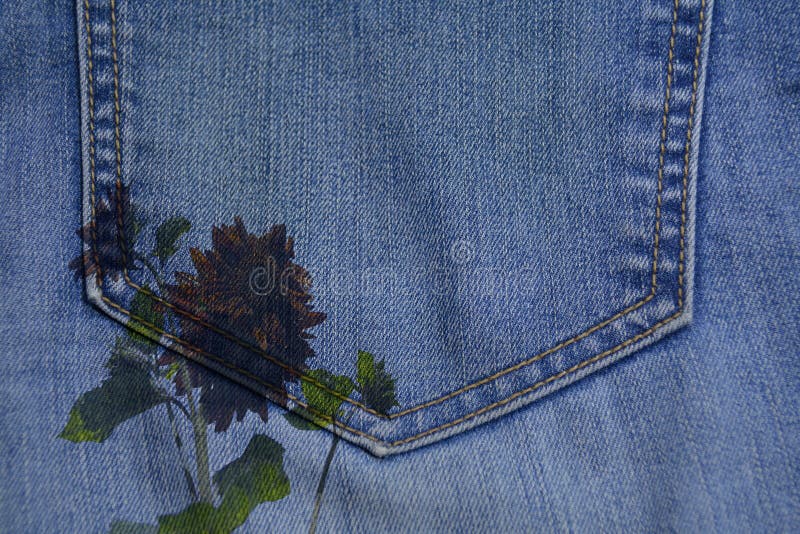 326 Sunflower Jeans Stock Photos Free & RoyaltyFree Stock Photos