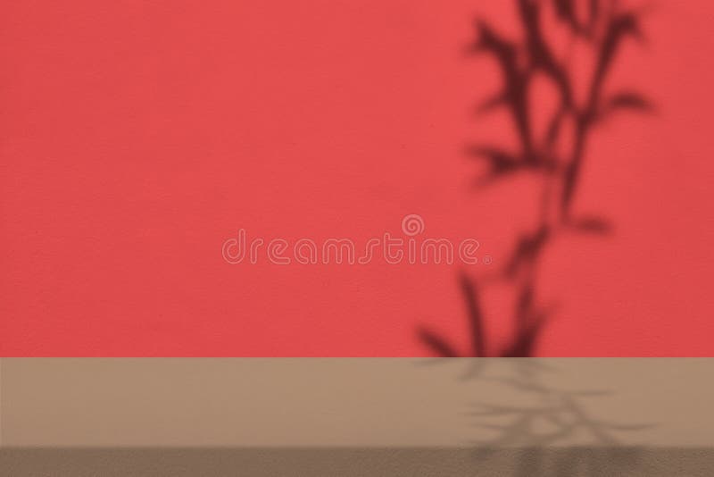 Brown Table with Willow Tree Leaves Shadow on Concrete Wall Background stock photography