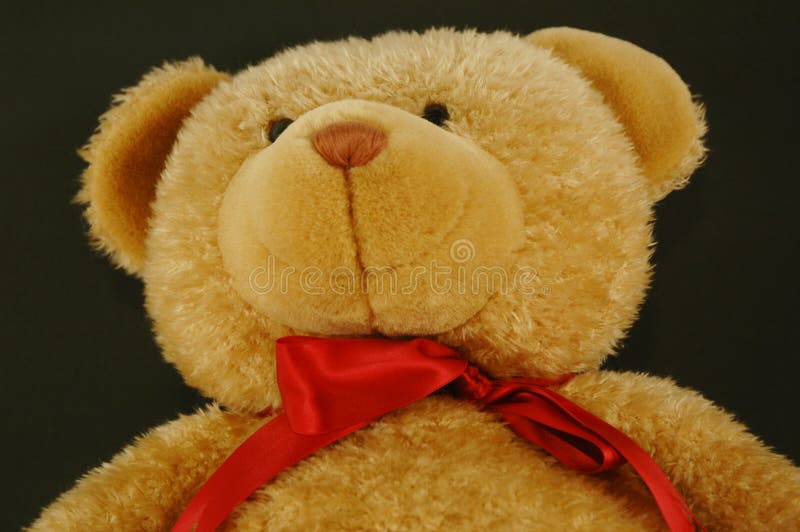 Brown Teddy Bear stock image