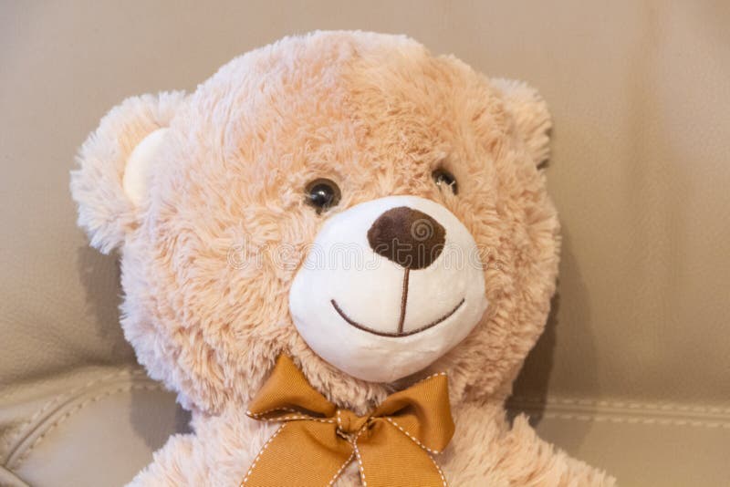 Teddy bear on a sofa stock image. Image of stuffed, gift 168974527