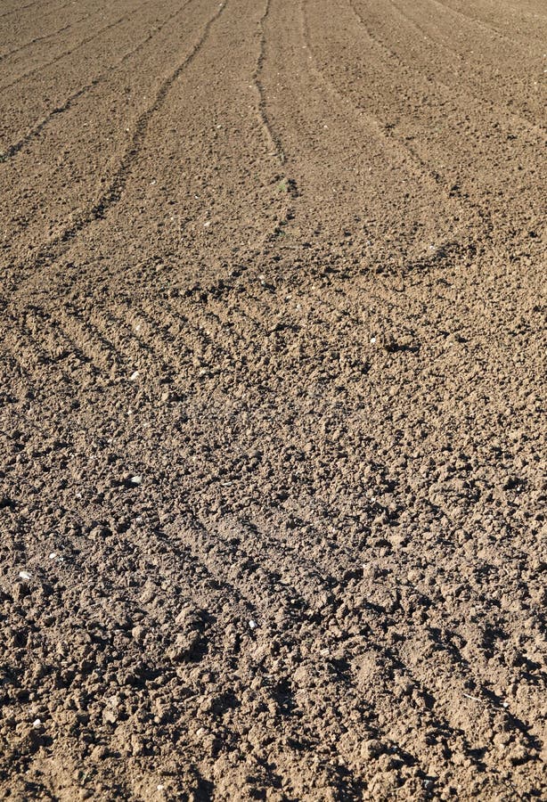 Brown tilled ground in the field ready to sow cereal i royalty free stock photography