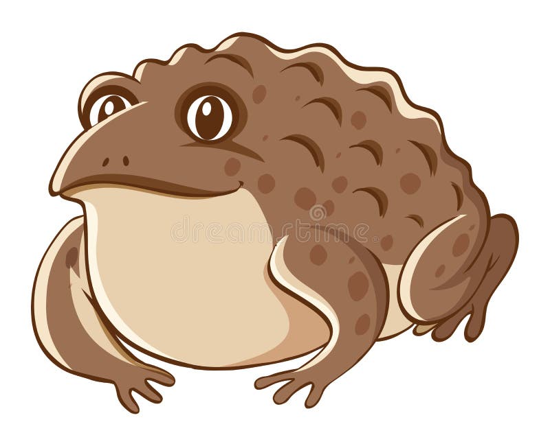 Toad stock vector. Illustration of agricultural, clipart - 50117770