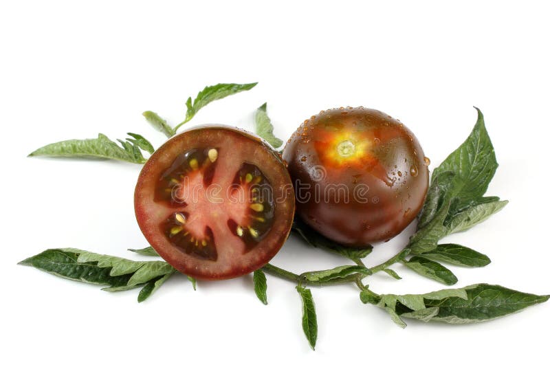 Brown tomatoes stock photo. Image of leaf, white, leaves 50812526