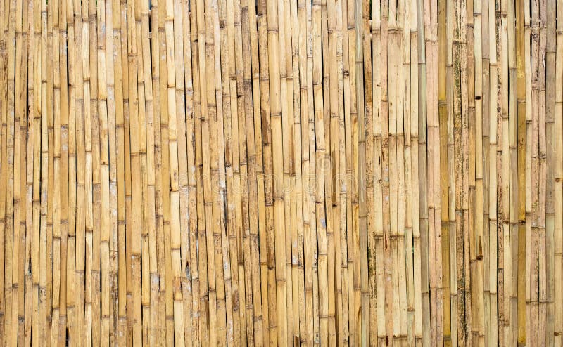 Brown tone bamboo plank fence texture for background
close up decorative old bamboo wood of fence wall background. Brown tone bamboo plank fence texture for background
close up decorative old bamboo wood of fence wall background