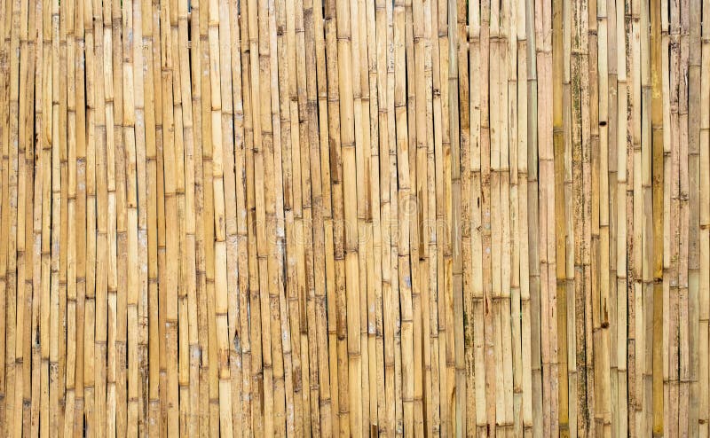 Brown tone bamboo plank fence texture for background