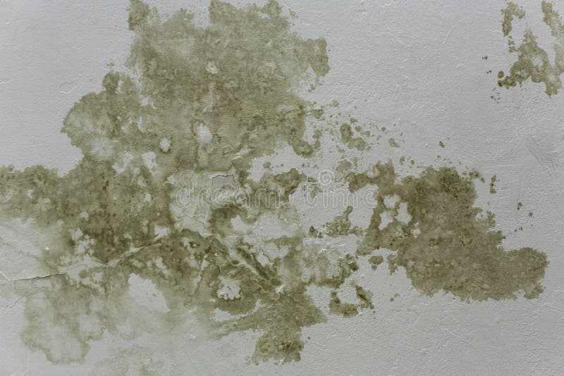 Brown spots on the ceiling stock photo. Image of brown 140494260