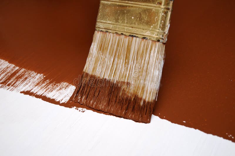 Spilled Paint on Carpet Insurance Claim Accident Stock Image Image of