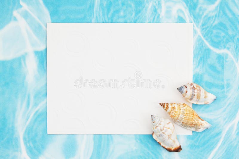 Brown and white conch seashells with a blank white greeting card royalty free stock photography