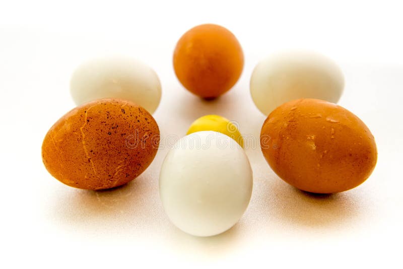 Brown and White Eggs and Yolks Stock Photo Image of yolk, breakfast
