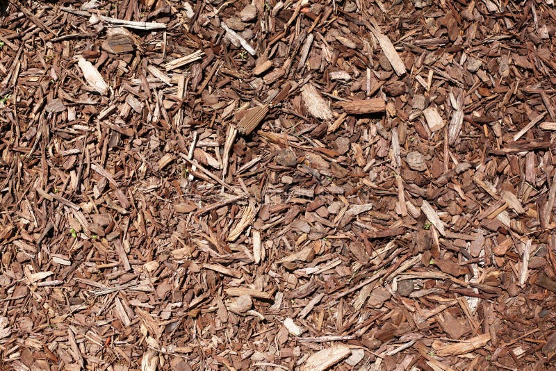 Brown Wood Chip Mulch stock image. Image of cover, pattern 180872479