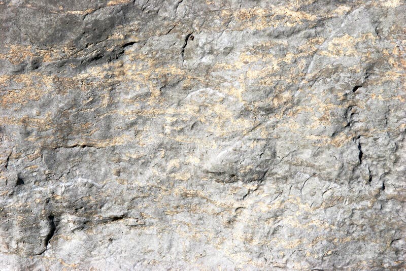 Brown y textura gris de la roca