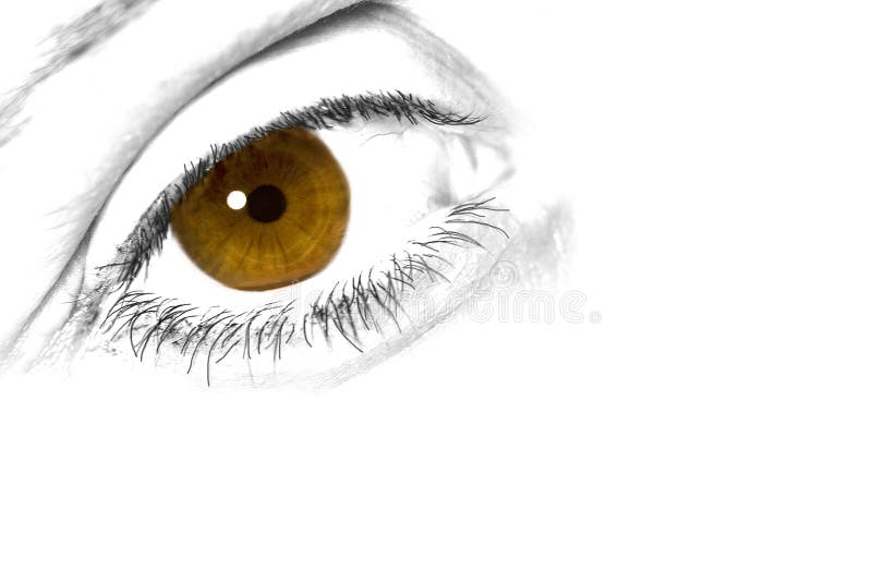 Brown and yellow eye stock image. Image of look, feeling 1983125