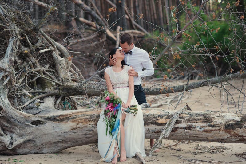 Brud och brudgum på naturleende royaltyfri fotografi Brud och brudgum på naturleende royaltyfri fotografi