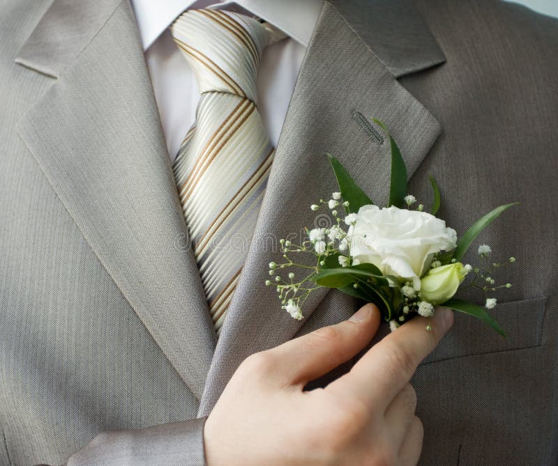 Brudgum arkivfoto. Bild av stamma, blomma, slips, skaka 60165874