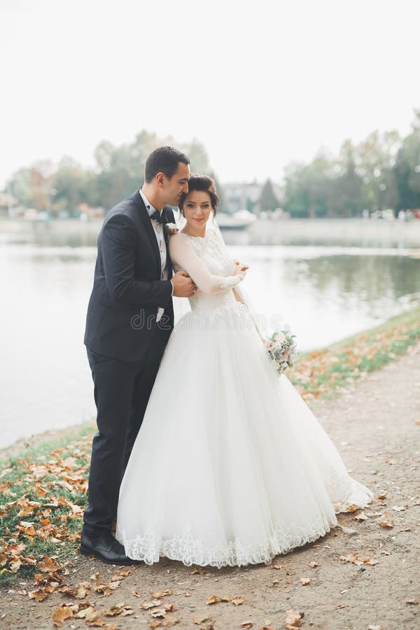 Bruid- en bruinkoolkoppel royalty-vrije stock afbeelding