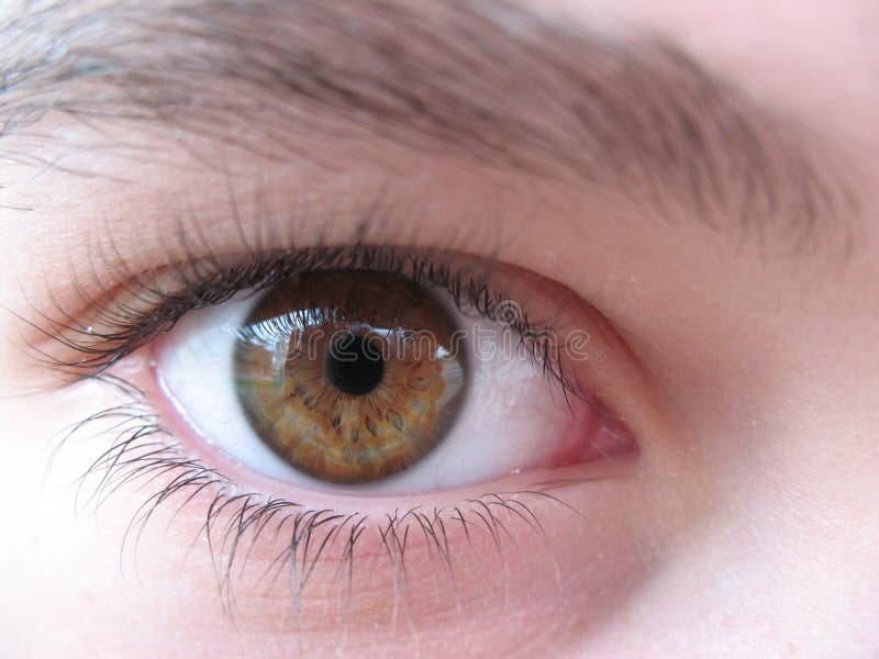 Bruin oog