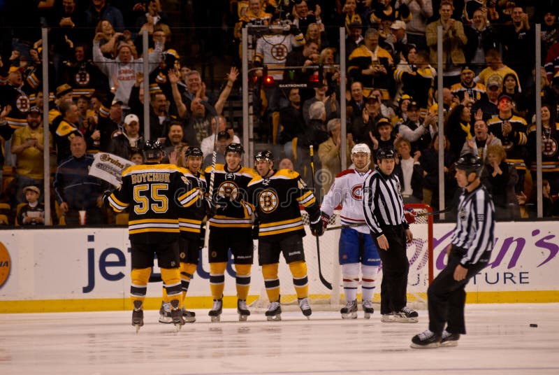 Bruins celebrate a goal editorial stock photo. Image of national 22836783