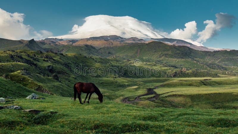 Brun häst som betar i bergängdalen på bakgrund av Mount Elbrus royaltyfria bilder Brun häst som betar i bergängdalen på bakgrund av Mount Elbrus royaltyfria bilder