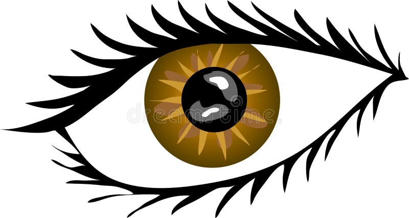 A illustration of a Brown Eye with lashes. A illustration of a Brown Eye with lashes