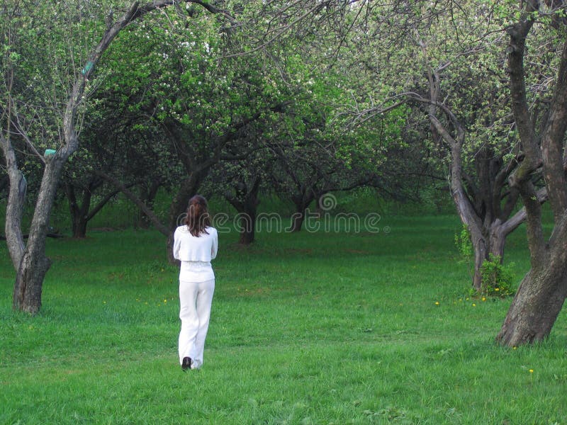 Brunette beautiful Girl in nature.