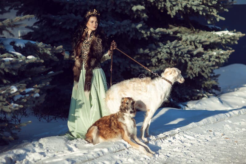 A Girl With Greyhounds On The Snow Stock Photo - Image of girl, elegant