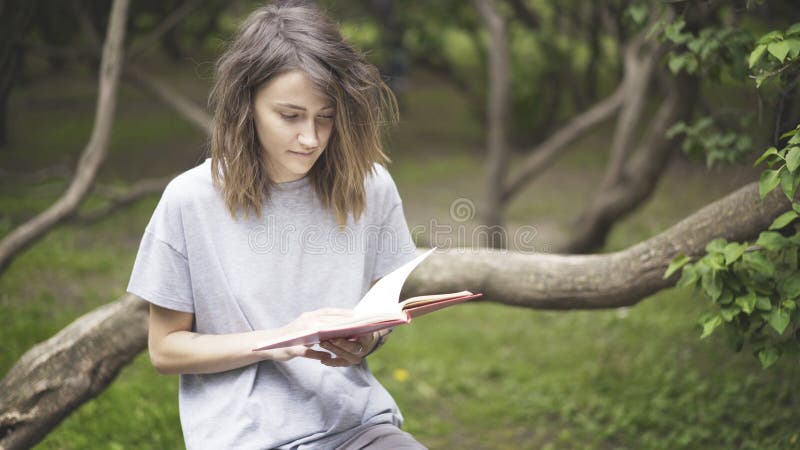 A brunette white girl is reading a book in the park stock images A brunette white girl is reading a book in the park stock images