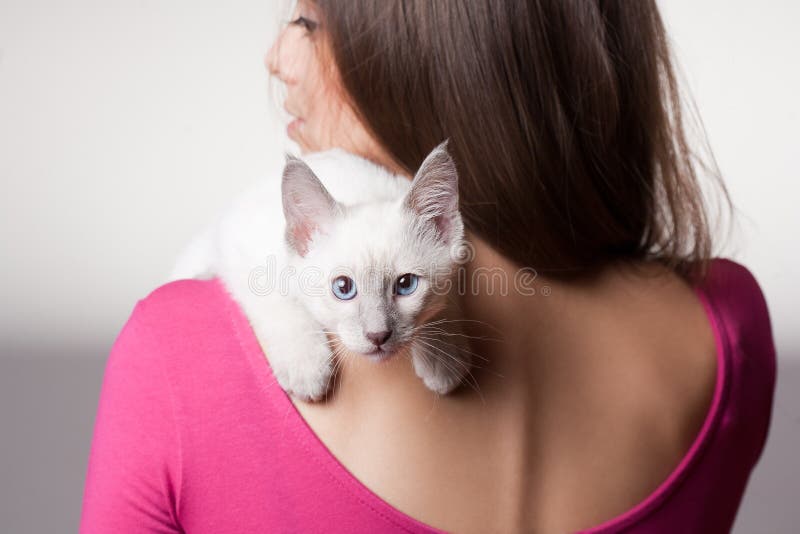 Brunettskönhet med den gulliga kattungen arkivbild Brunettskönhet med den gulliga kattungen arkivbild