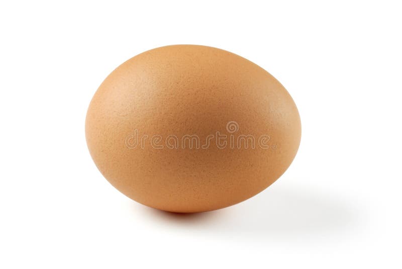 brunt ägg royaltyfria bilder brunt ägg royaltyfria bilder