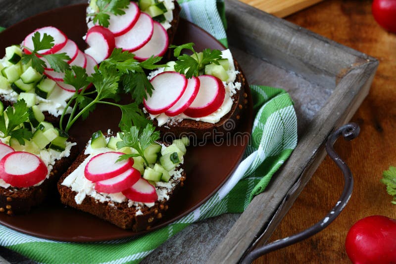 Bruschette avec le fromage à pâte molle et le radis du plat images libres de droits Bruschette avec le fromage à pâte molle et le radis du plat images libres de droits